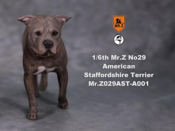 American Staffordshire Terrier Dog A001 (Standing) 1/6 Scale Figure Gallery Image 5