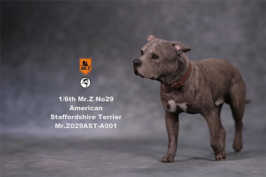 American Staffordshire Terrier Dog A001 (Standing) 1/6 Scale Figure Gallery Image 4