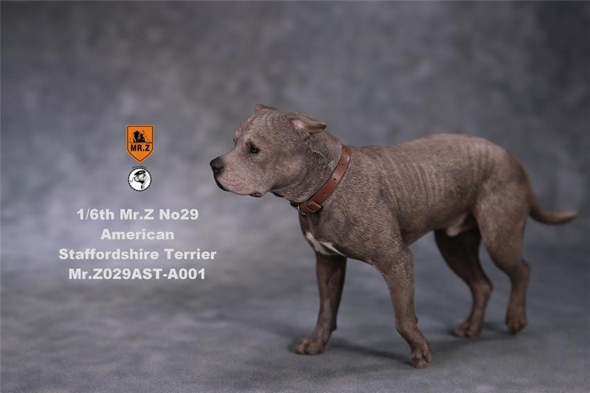 American Staffordshire Terrier Dog A001 (Standing) 1/6 Scale Figure Gallery Image 3