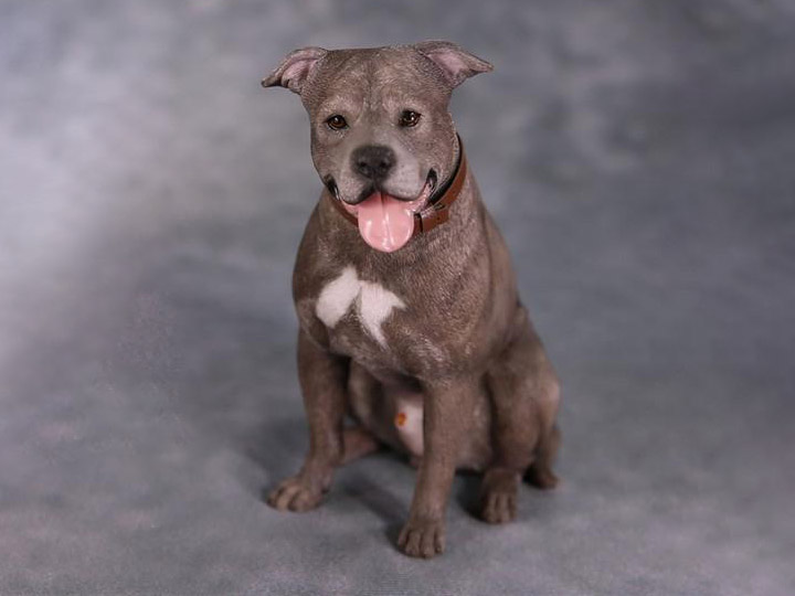 American Staffordshire Terrier Dog B001 (Sitting) 1/6 Scale Figure Gallery Image 1