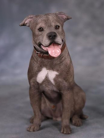 American Staffordshire Terrier Dog B001 (Sitting) 1/6 Scale Figure Gallery Image 2