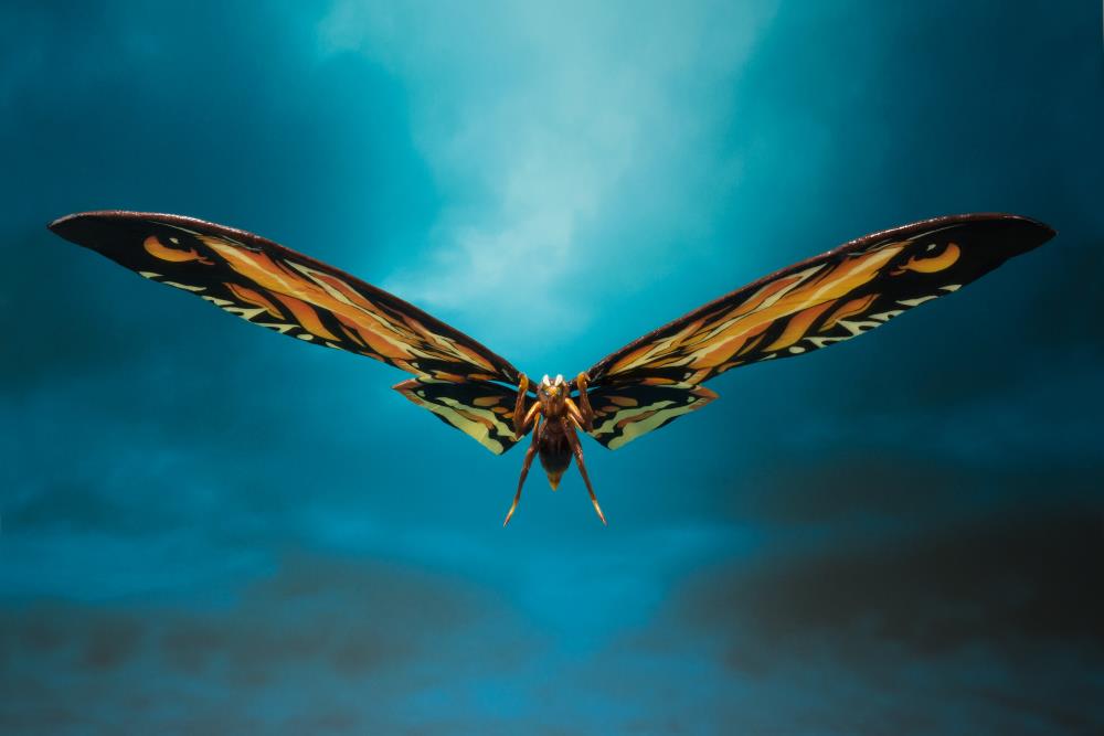 Godzilla: King of the Monsters S.H.MonsterArts Mothra & Rodan Two-Pack Gallery Image 4