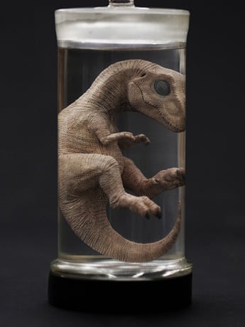 新品タグ付き Spick and Span Oblada DINOSAUR T Rebor Oddities Tyrannosaurus Rex Fetus Wet Specimen With Light Up Base