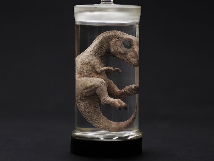 Rebor Oddities Tyrannosaurus Rex Fetus Wet Specimen With Light Up Base