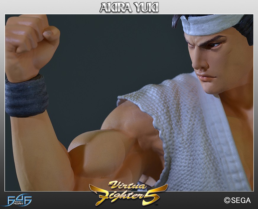 Virtua Fighter 5 Sega All Stars Akira Yuki 1/6 Scale Limeted Edition Statue Gallery Image 11