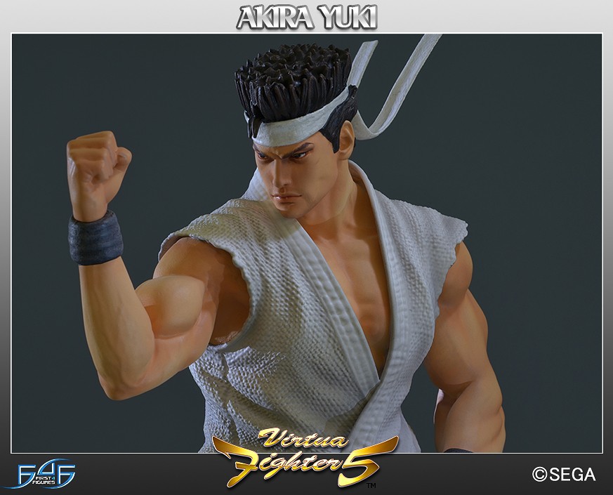 Virtua Fighter 5 Sega All Stars Akira Yuki 1/6 Scale Limeted Edition Statue Gallery Image 14