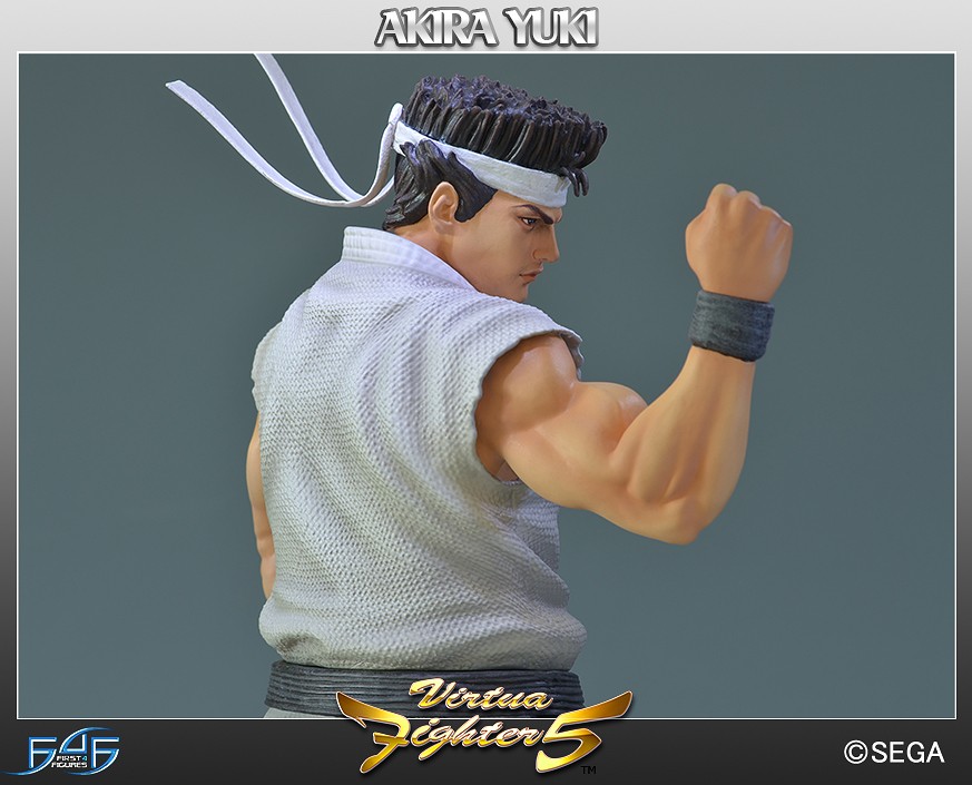 Virtua Fighter 5 Sega All Stars Akira Yuki 1/6 Scale Limeted Edition Statue Gallery Image 15