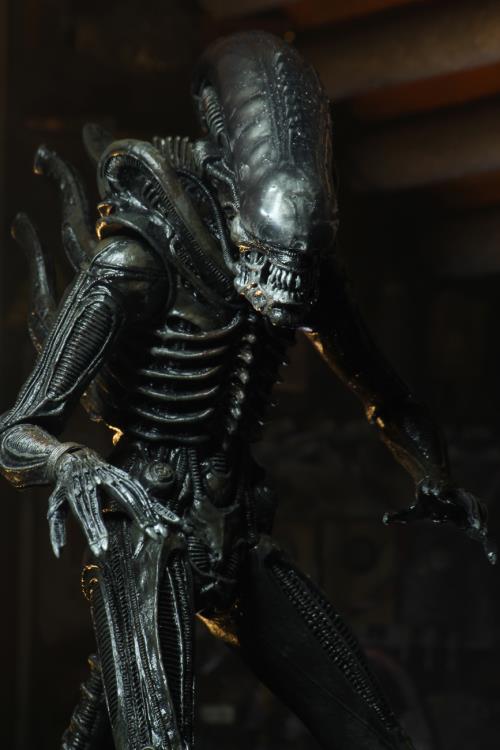 ネカ NECA エイリアン ビッグチャップ アルティメット 40th プレデター Amazon.com: NECA Alien - 7