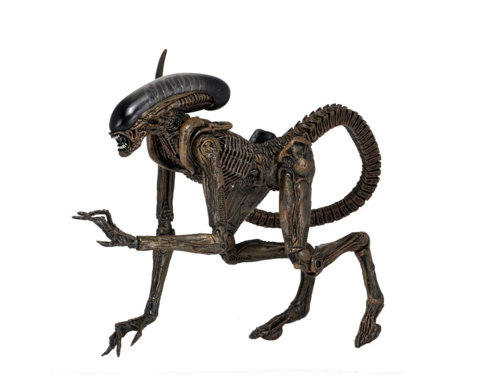 Alien 3 Ultimate Dog Alien Gallery Image 8