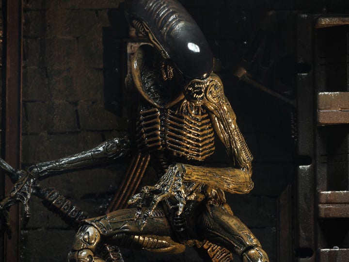 Alien 3 Ultimate Dog Alien Gallery Image 1