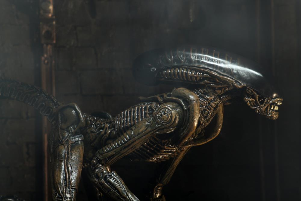 Alien 3 Ultimate Dog Alien Gallery Image 10