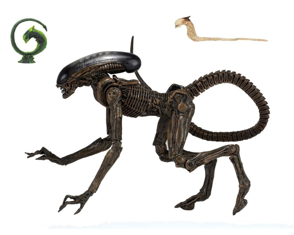 Alien 3 Ultimate Dog Alien Gallery Image 14