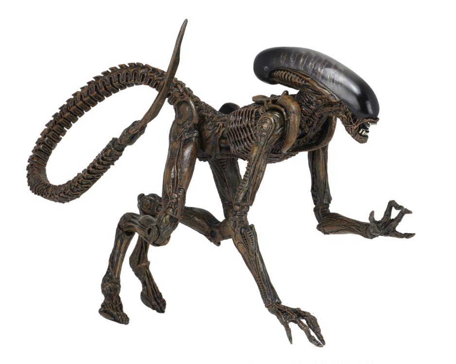 Alien 3 Ultimate Dog Alien Gallery Image 9