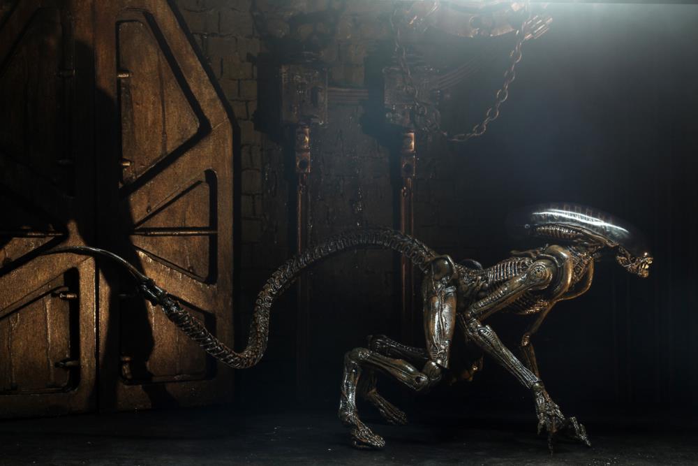 Alien 3 Ultimate Dog Alien Gallery Image 7