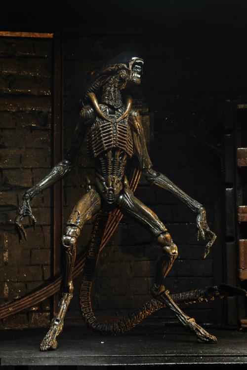 Alien 3 Ultimate Dog Alien Gallery Image 4