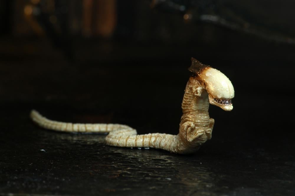 Alien 3 Ultimate Dog Alien Gallery Image 12