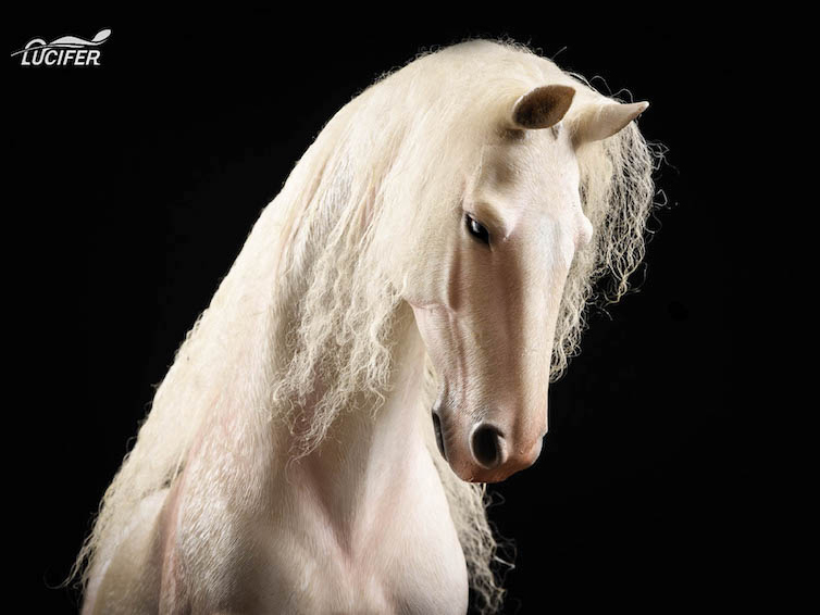 The White Horse 1/6 Scale Figure Gallery Image 3