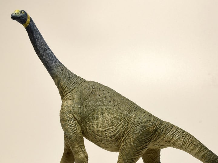 Atlasaurus 1/40 Scale Replica Gallery Image 1