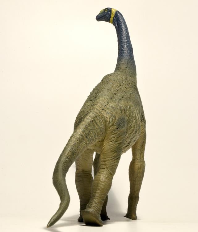 Atlasaurus 1/40 Scale Replica Gallery Image 5