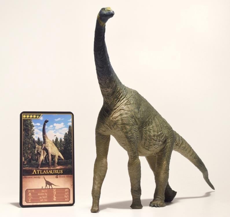 Atlasaurus 1/40 Scale Replica Gallery Image 3