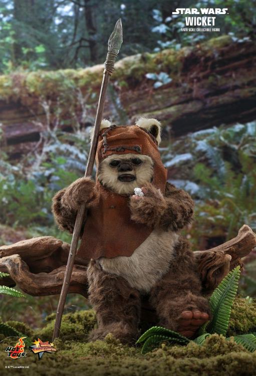 Star Wars: Return of the Jedi MMS550 Wicket 1/6 Scale Collectible Figure Gallery Image 9