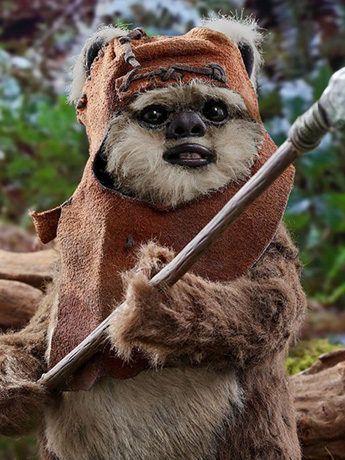Star Wars: Return of the Jedi MMS550 Wicket 1/6 Scale Collectible Figure Gallery Image 2