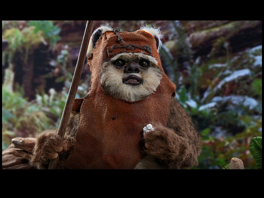 Star Wars: Return of the Jedi MMS550 Wicket 1/6 Scale Collectible Figure Gallery Image 11
