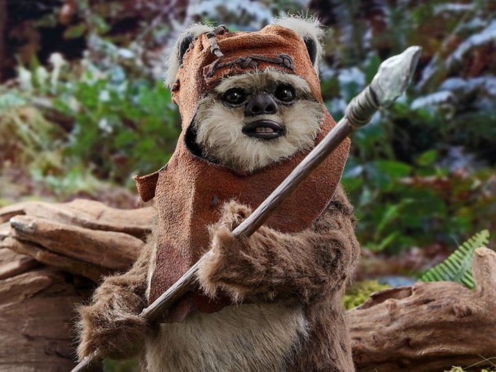 Star Wars: Return of the Jedi MMS550 Wicket 1/6 Scale Collectible Figure Gallery Image 1