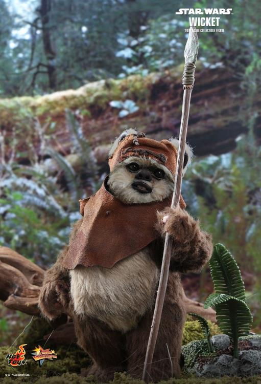 Star Wars: Return of the Jedi MMS550 Wicket 1/6 Scale Collectible Figure Gallery Image 6