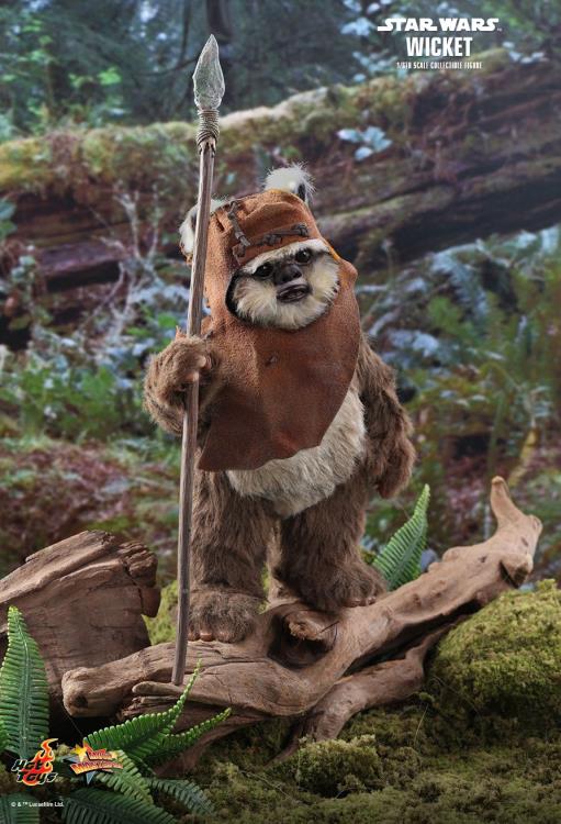 Star Wars: Return of the Jedi MMS550 Wicket 1/6 Scale Collectible Figure Gallery Image 10