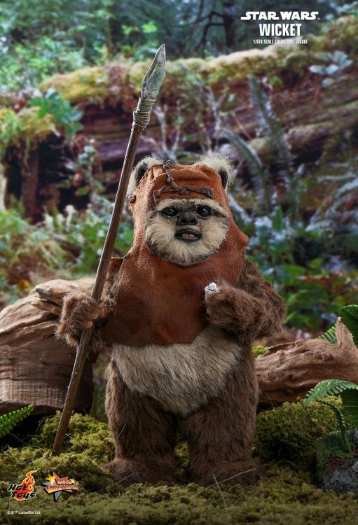Star Wars: Return of the Jedi MMS550 Wicket 1/6 Scale Collectible Figure Gallery Image 5