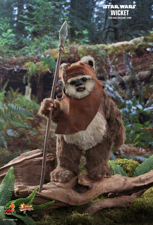 Star Wars: Return of the Jedi MMS550 Wicket 1/6 Scale Collectible Figure Gallery Image 7