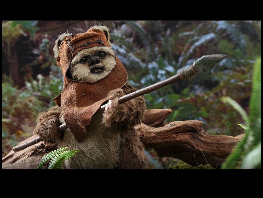 Star Wars: Return of the Jedi MMS550 Wicket 1/6 Scale Collectible Figure Gallery Image 12