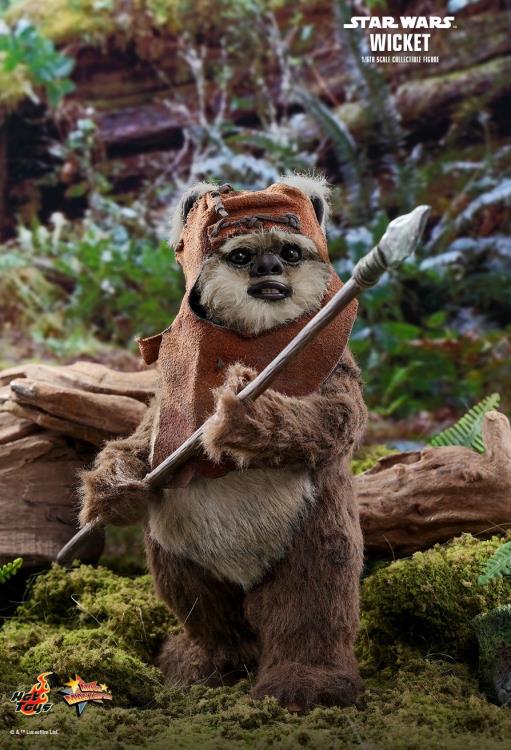 Star Wars: Return of the Jedi MMS550 Wicket 1/6 Scale Collectible Figure Gallery Image 3