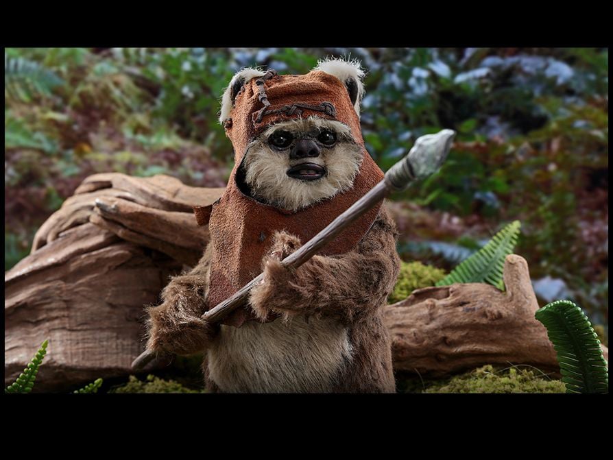 Star Wars: Return of the Jedi MMS550 Wicket 1/6 Scale Collectible Figure Gallery Image 13