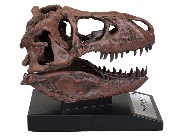 Smithsonian T. rex Skull 1/10 Scale Replica Gallery Image 1