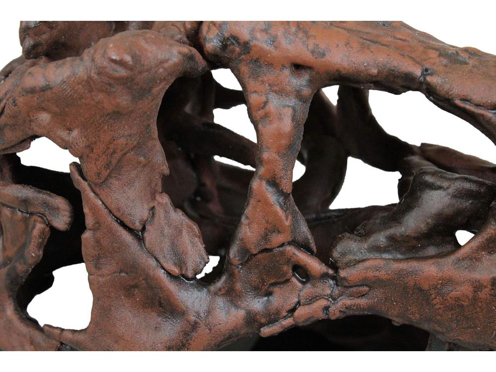 Smithsonian T. rex Skull 1/10 Scale Replica Gallery Image 6