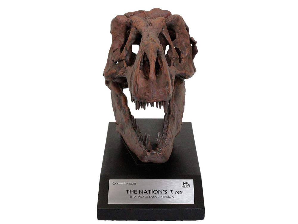 Smithsonian T. rex Skull 1/10 Scale Replica Gallery Image 3