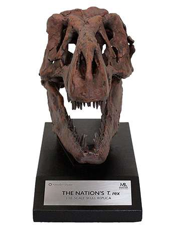 Smithsonian T. rex Skull 1/10 Scale Replica Gallery Image 2