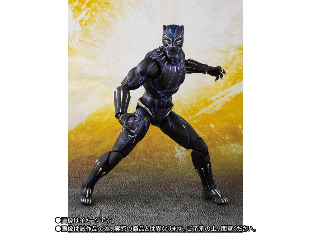 Avengers: Infinity War S.H.Figuarts Black Panther King of Wakanda Exclusive Action Figure Gallery Image 7