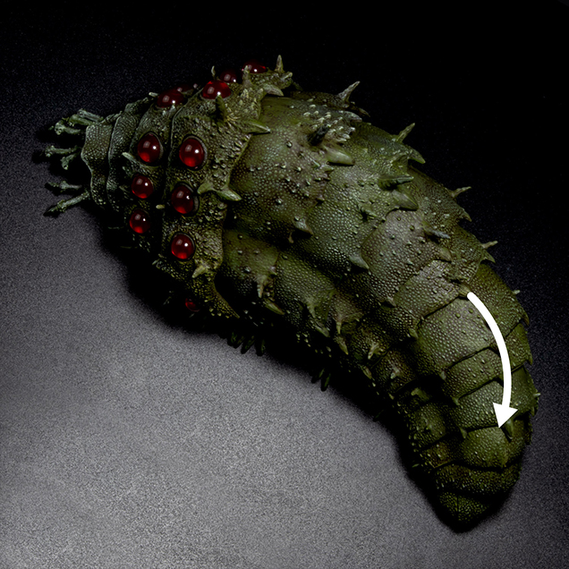 Nausicaa of the Valley of the Wind KT Project Ohmu Figure Gallery Image 9
