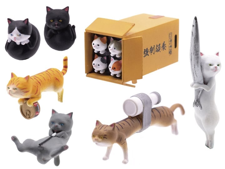 Kitten Arsenal Box of 6 Accessories Gallery Image 1