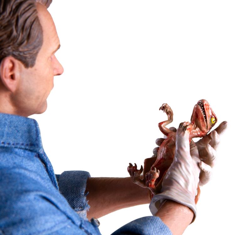 Jurassic Park Dr. Alan Grant 1/6 Scale Figure Gallery Image 7