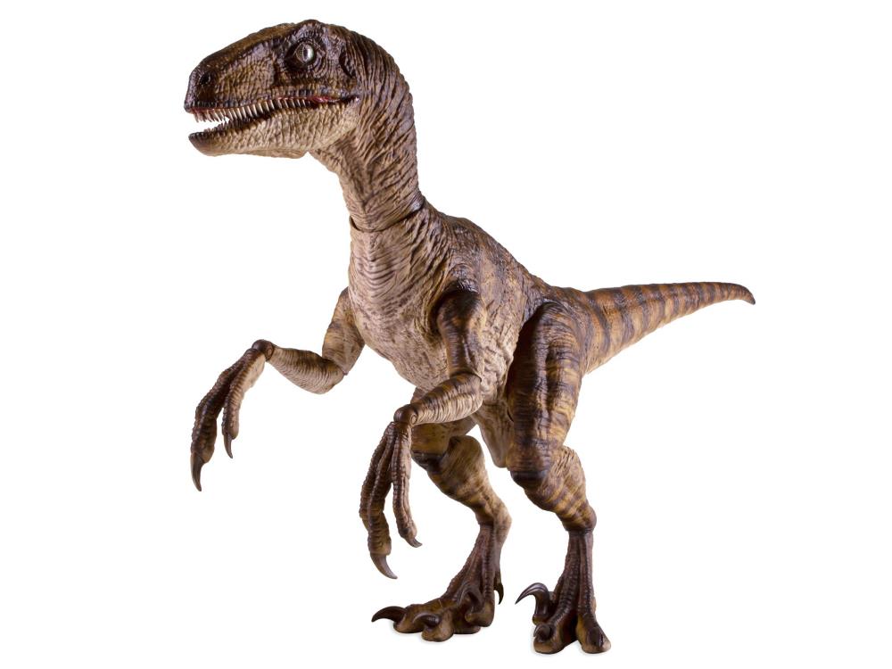 Jurassic Park Velociraptor 1/6 Scale Figure Gallery Image 6