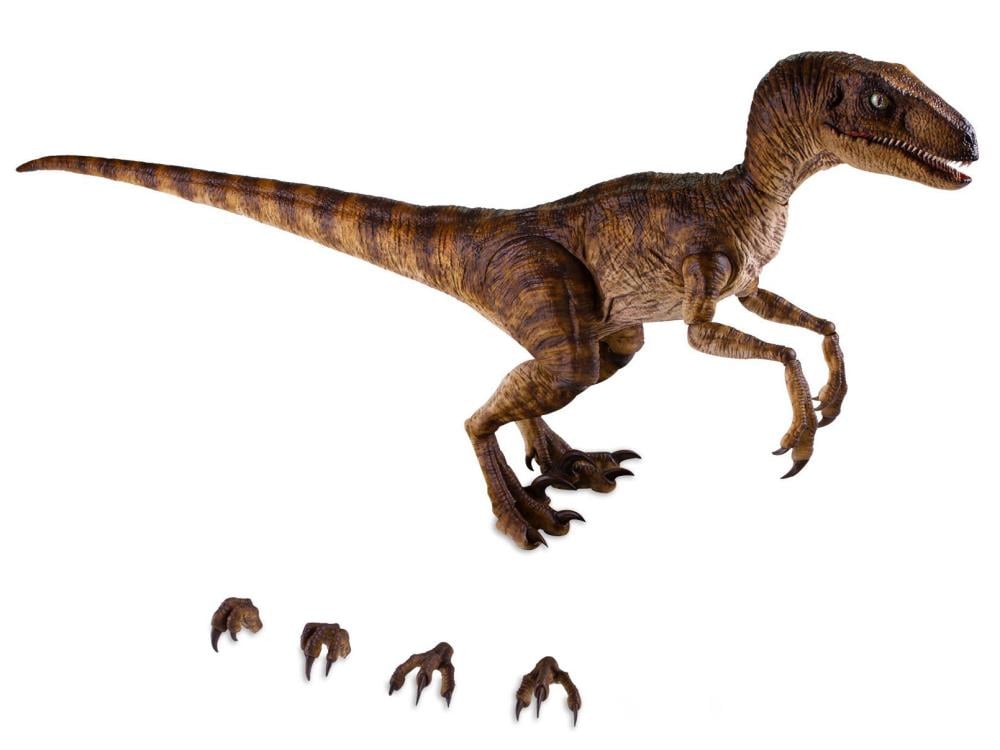 Jurassic Park Velociraptor 1/6 Scale Figure Gallery Image 15