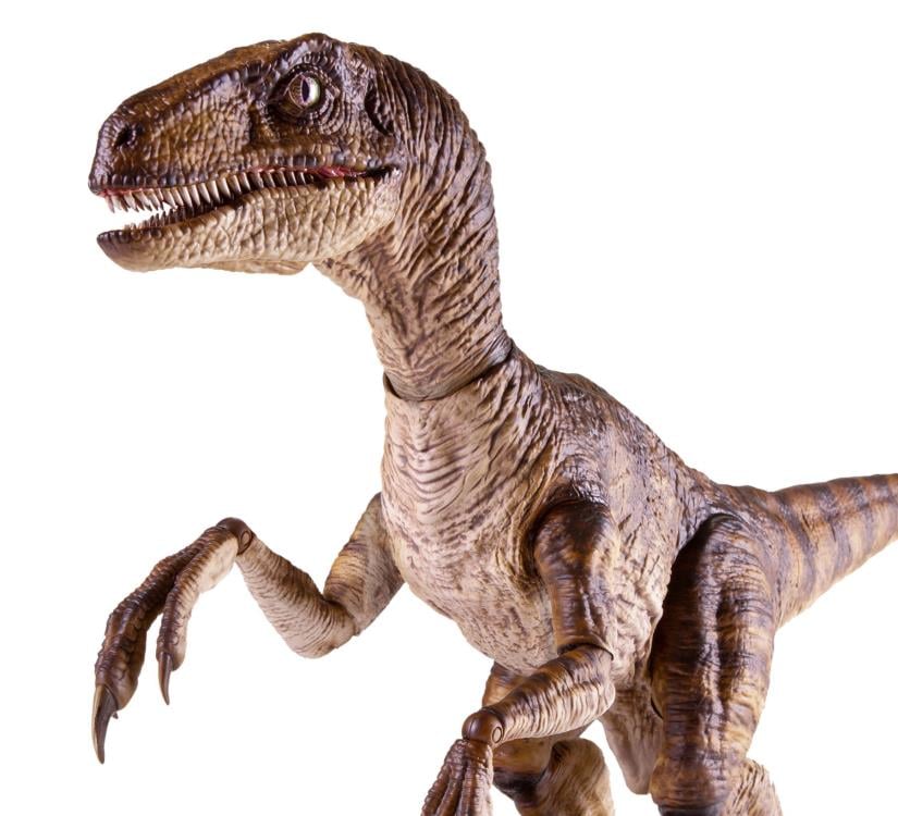 Jurassic Park Velociraptor 1/6 Scale Figure Gallery Image 9