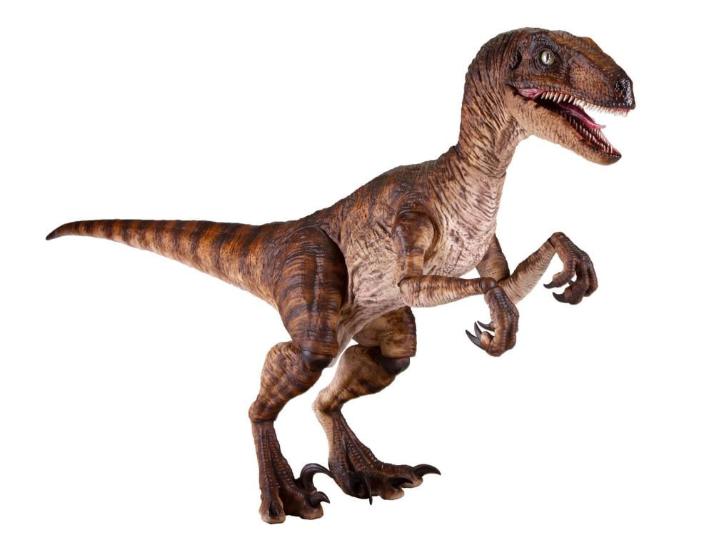 Jurassic Park Velociraptor 1/6 Scale Figure Gallery Image 4