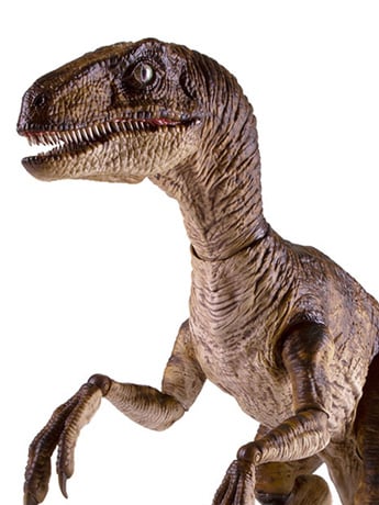 Jurassic Park Velociraptor 1/6 Scale Figure Gallery Image 2