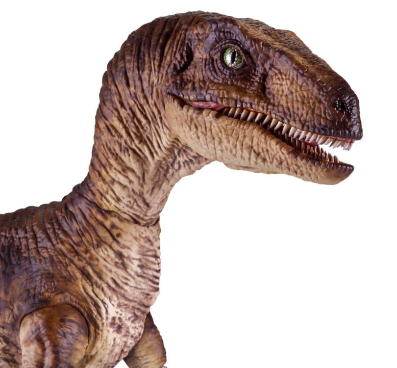 Jurassic Park Velociraptor 1/6 Scale Figure Gallery Image 11