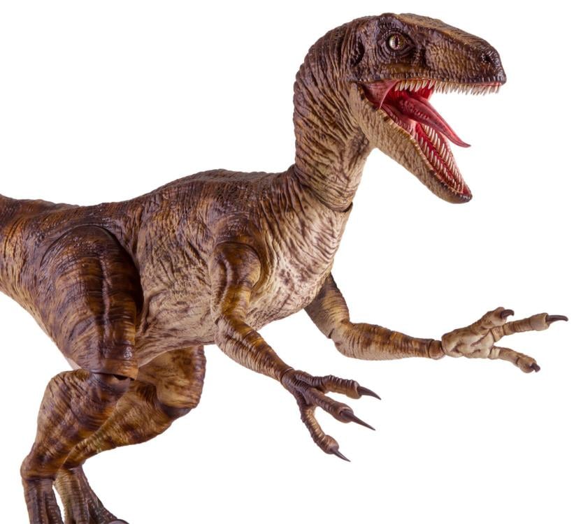 Jurassic Park Velociraptor 1/6 Scale Figure Gallery Image 8